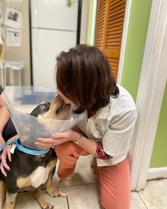 Deerwood Animal Clinic Picture 8