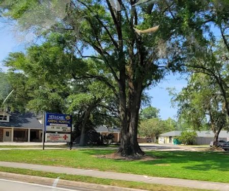 Mandarin Pet Emergency Hospital