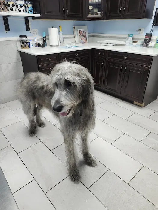 Vet-I-Care Animal Hospital Picture 2