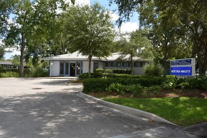 Scott Mill Animal Hospital Picture 3