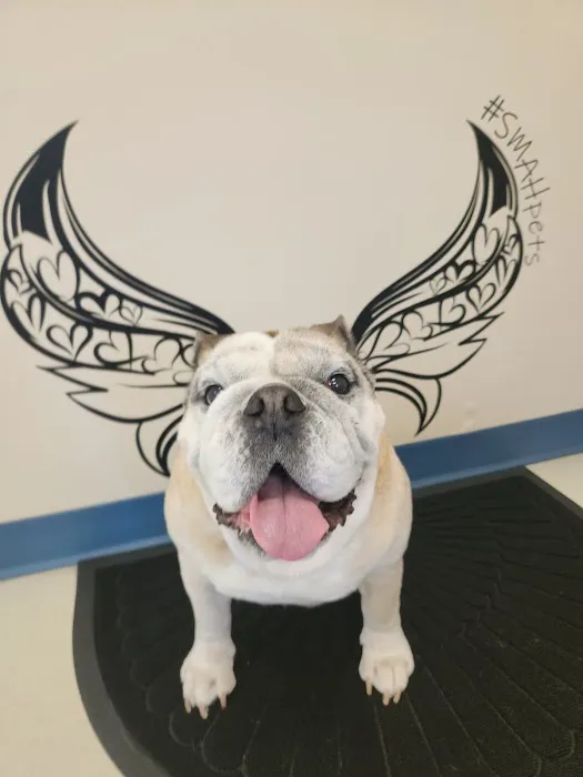 Scott Mill Animal Hospital Picture 1