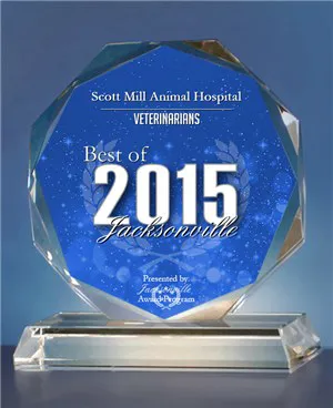 Scott Mill Animal Hospital Picture 9