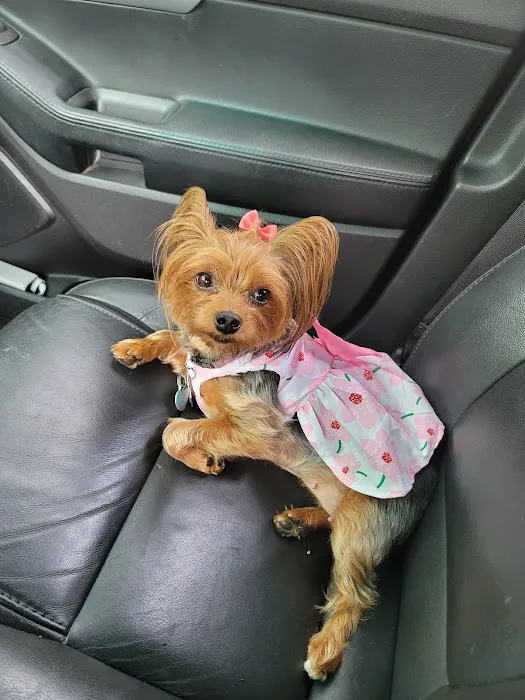 Banfield Pet Hospital Picture 1