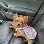 Banfield Pet Hospital