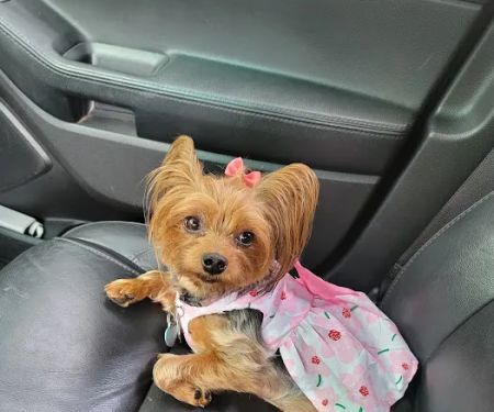 Banfield Pet Hospital