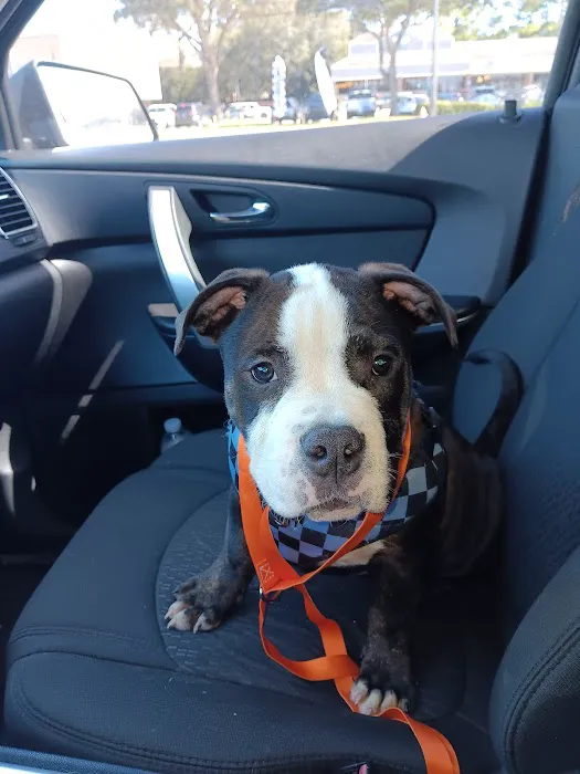 Banfield Pet Hospital Picture 5