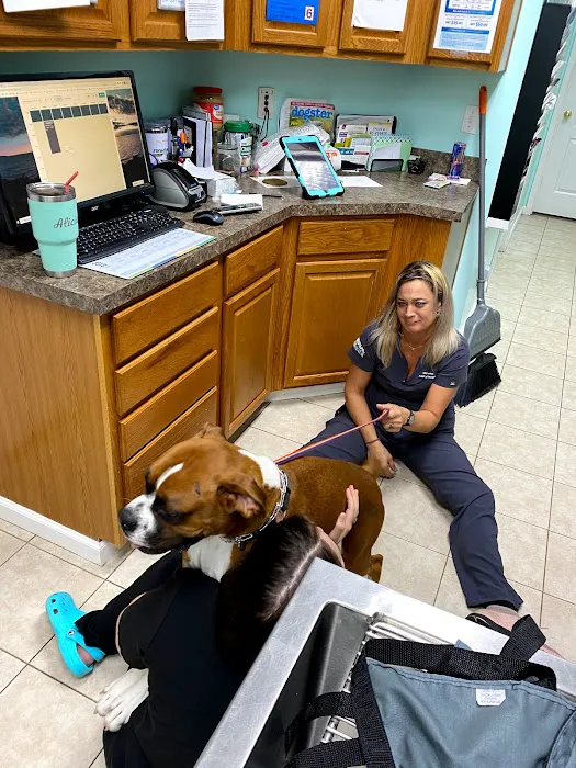 Marietta Animal Hospital Picture 2
