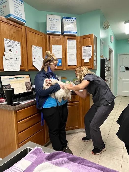 Marietta Animal Hospital Picture 7