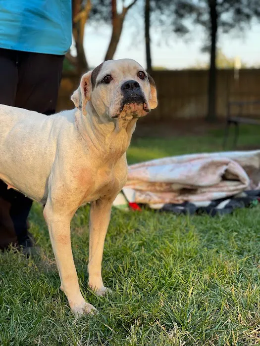Marietta Animal Hospital Picture 8