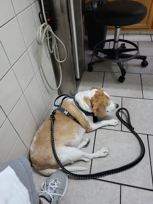 Normandy Animal Hospital Picture 5
