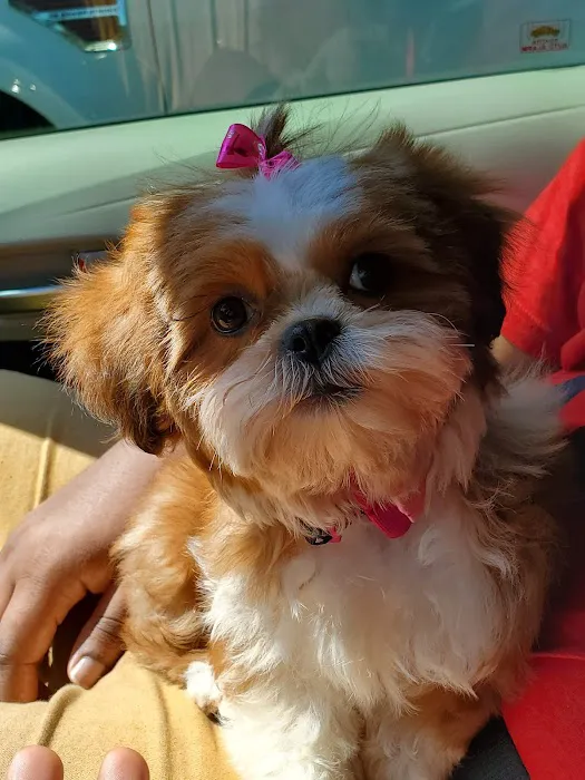 Beltway Animal Hospital Picture 10