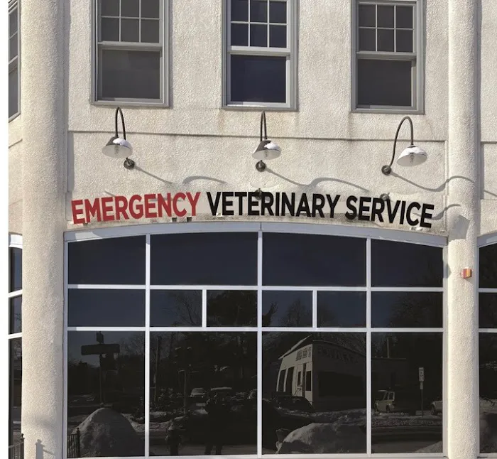 Allied Veterinary Emergency & Referral Picture 2