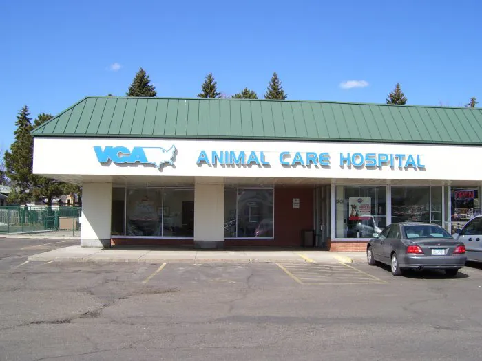 VCA Animal Care Hospital Picture 6