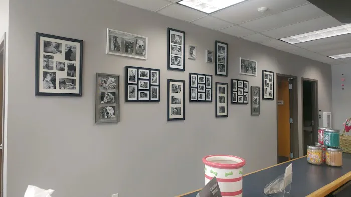 VCA Animal Care Hospital Picture 5