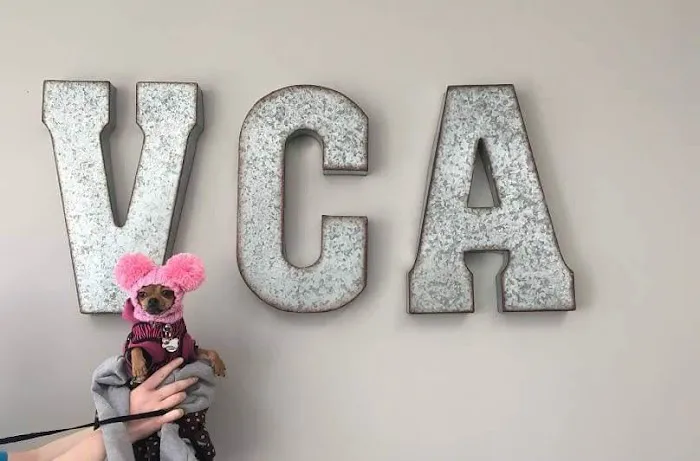 VCA Animal Care Hospital Picture 9
