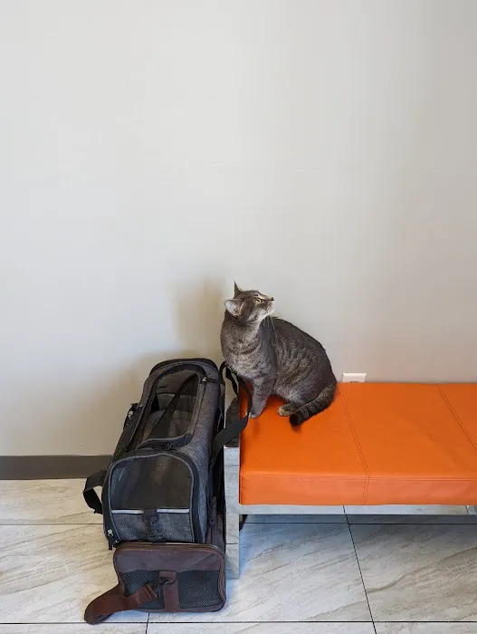 ValueCare Veterinary Clinic Picture 6