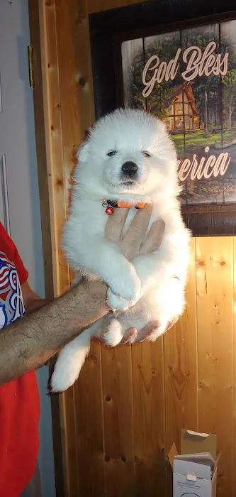 ValueCare Veterinary Clinic Picture 9