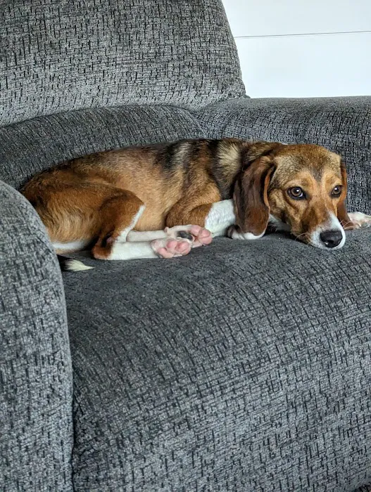 ValueCare Veterinary Clinic Picture 8