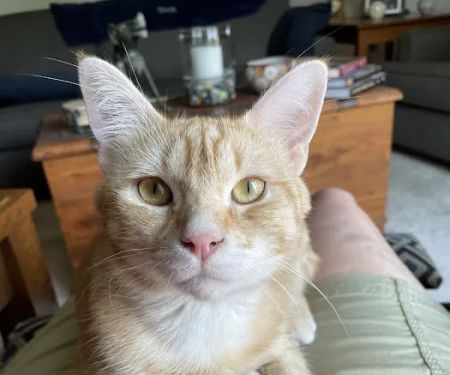 Woodlake Veterinary Hospital