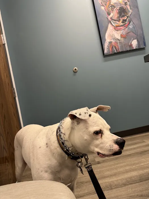 Woodlake Veterinary Hospital Picture 3