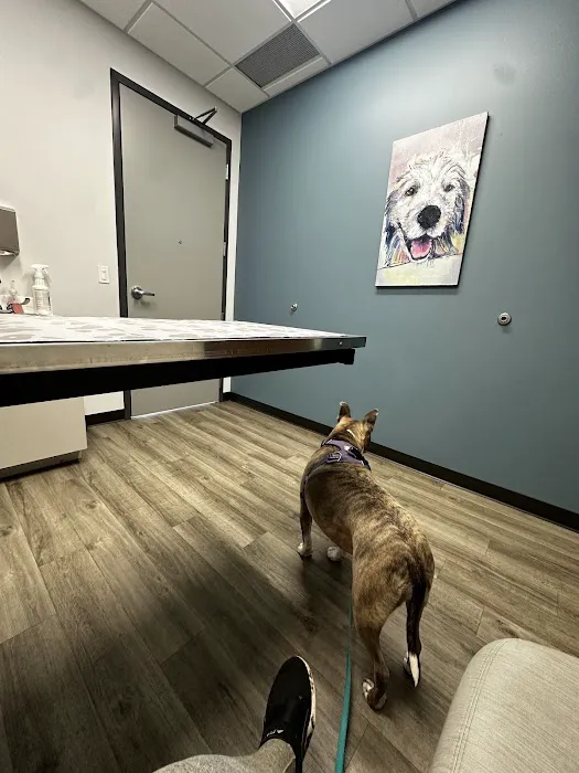 Woodlake Veterinary Hospital Picture 5