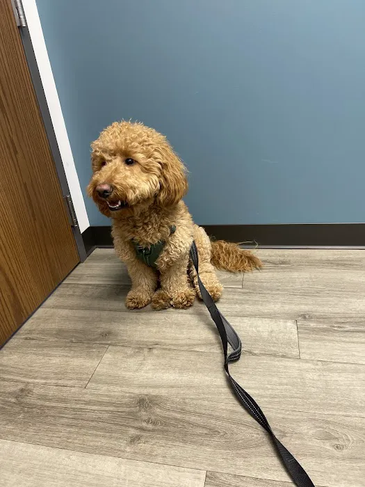 Woodlake Veterinary Hospital Picture 7