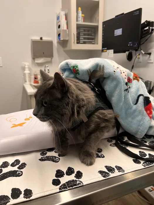 Woodlake Veterinary Hospital Picture 8