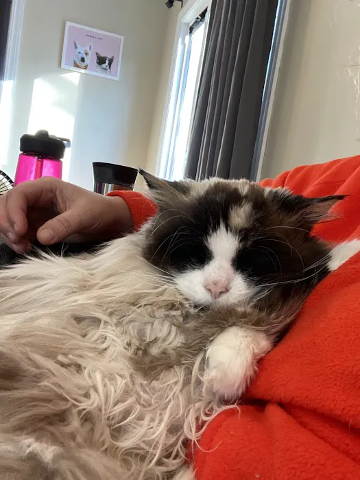 Woodlake Veterinary Hospital: Onffroy Joan R DVM Picture 1