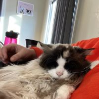 Woodlake Veterinary Hospital: Onffroy Joan R DVM ico