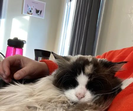 Woodlake Veterinary Hospital: Onffroy Joan R DVM