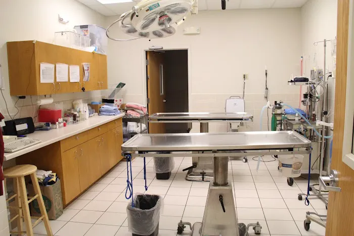 Vetco Total Care Animal Hospital Picture 5