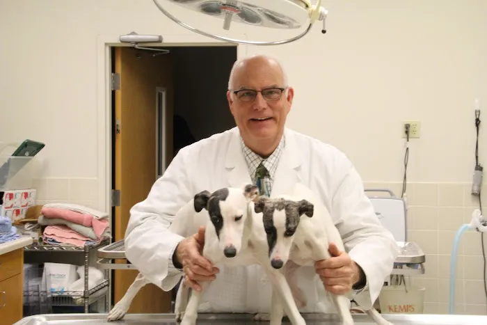 Vetco Total Care Animal Hospital Picture 4