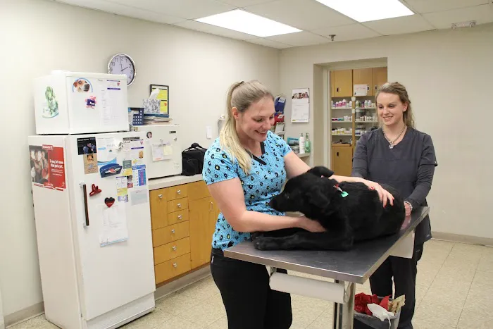 Vetco Total Care Animal Hospital Picture 3