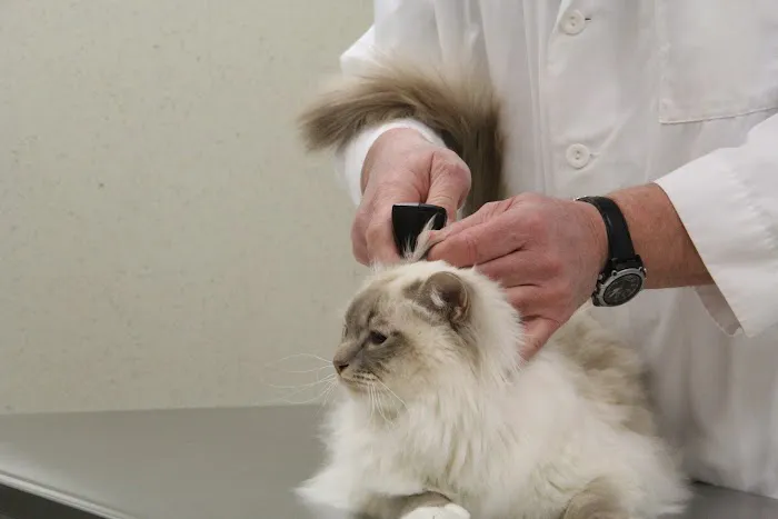 Vetco Total Care Animal Hospital Picture 8