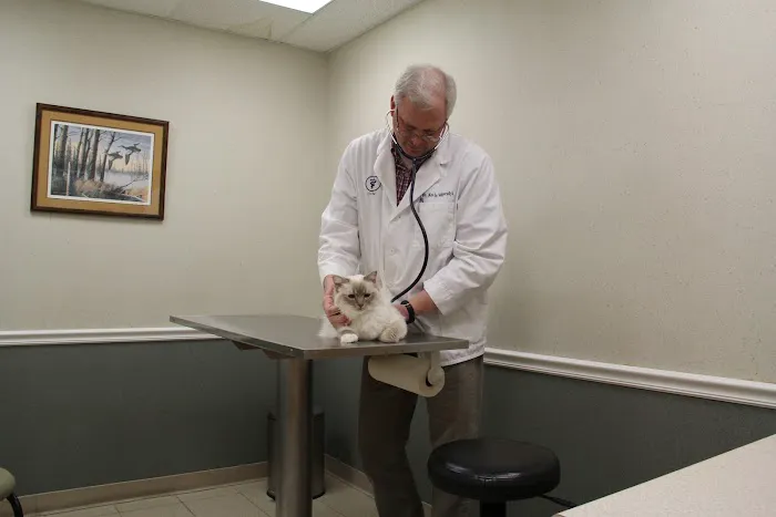Vetco Total Care Animal Hospital Picture 9