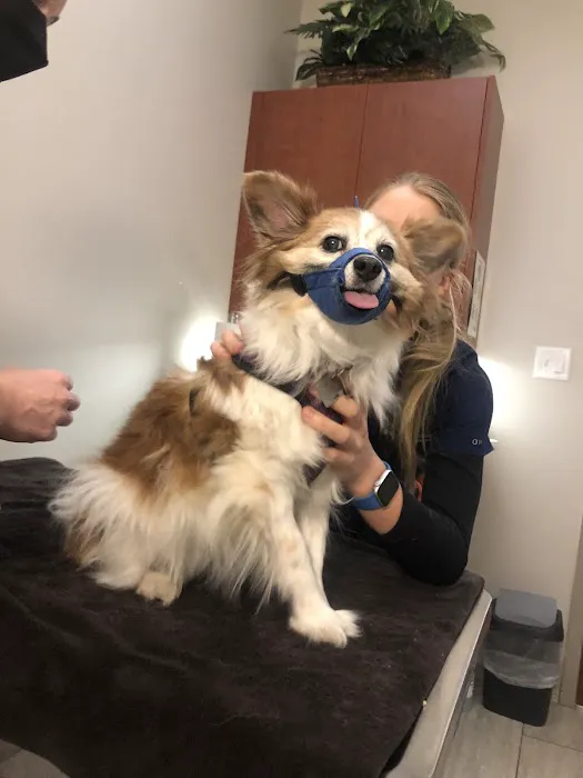 St. Francis Animal Hospital Picture 4