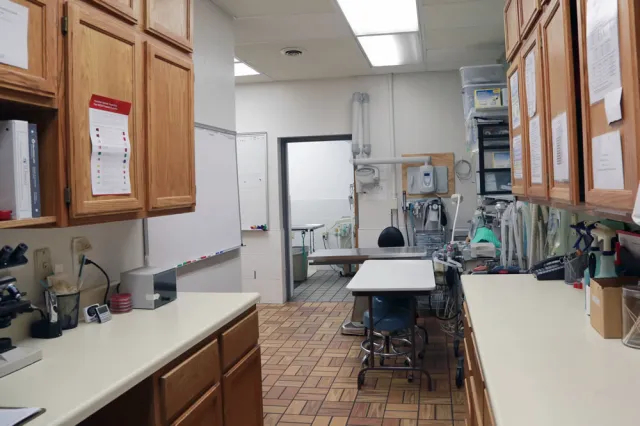 St. Francis Animal Hospital Picture 8