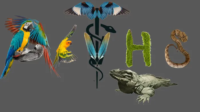 Avian & Exotic | AEVHS New Brighton Satellite Clinic Picture 2