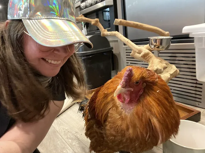 Avian & Exotic | AEVHS New Brighton Satellite Clinic Picture 3