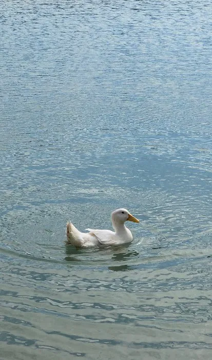 Avian & Exotic | AEVHS New Brighton Satellite Clinic Picture 6