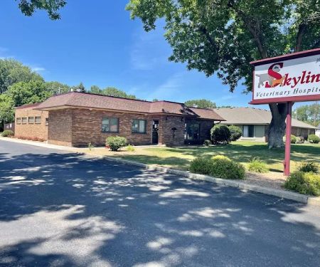 Skyline Veterinary Hospital
