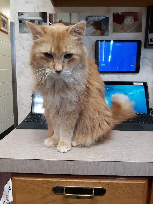 Skyline Veterinary Hospital Picture 4