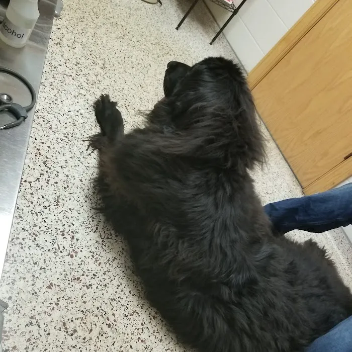 Skyline Veterinary Hospital Picture 9