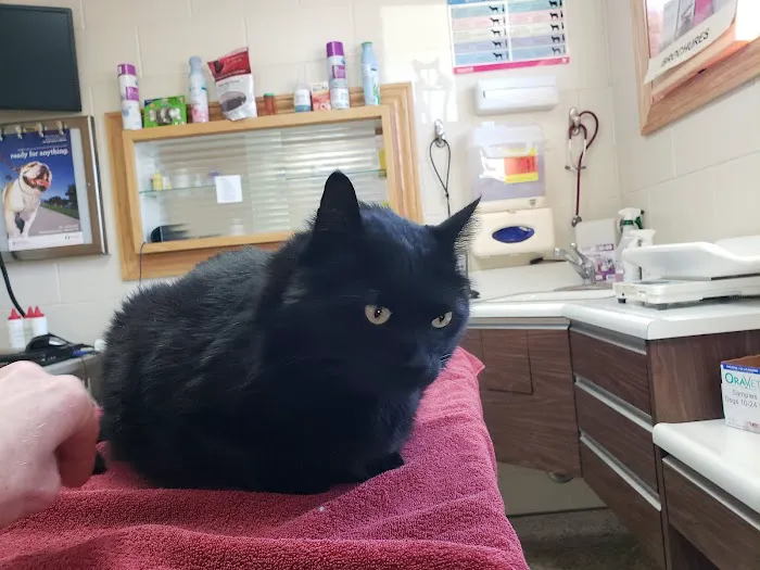 Skyline Veterinary Hospital Picture 7
