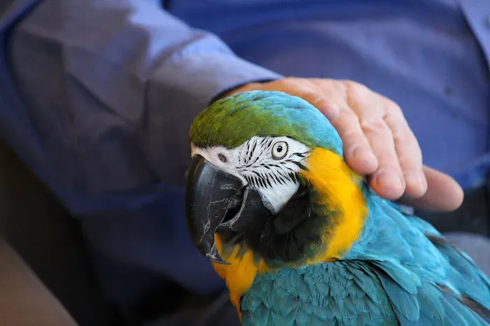 Brighton Veterinary Hospital Picture 9