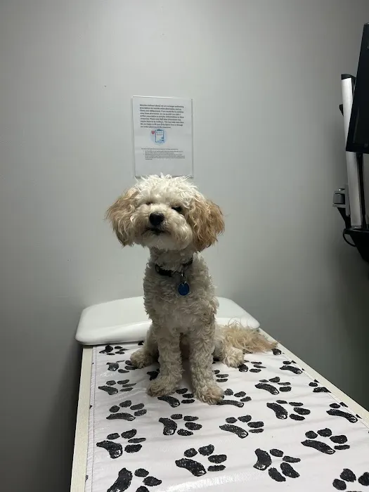Arden Shoreview Animal Hospital Picture 4
