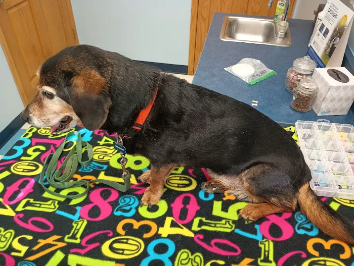 Mounds View Animal Hospital Picture 6