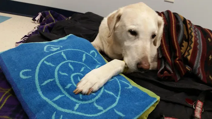 Mounds View Animal Hospital Picture 7
