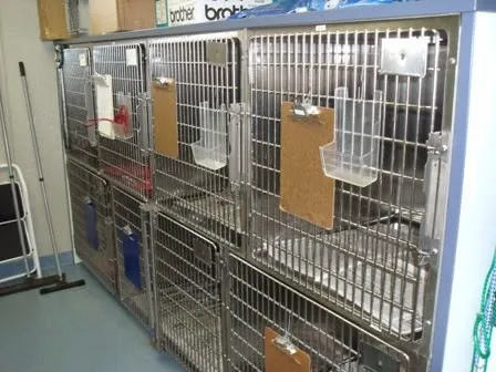 Mounds View Animal Hospital Picture 8