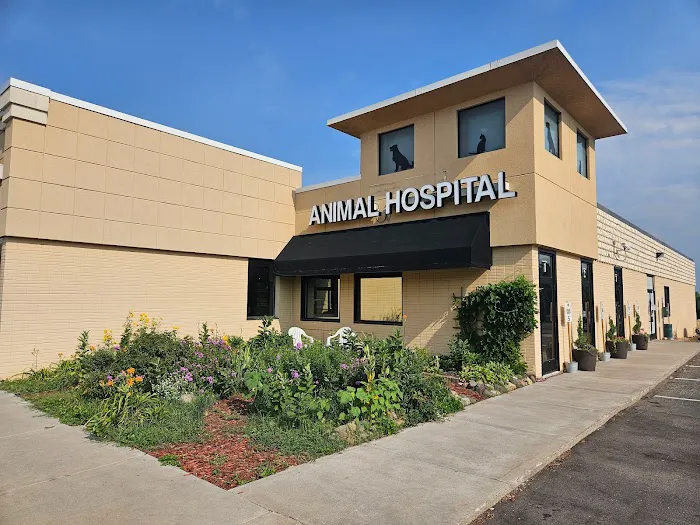 Shoreview North Oaks Animal Hospital Picture 3